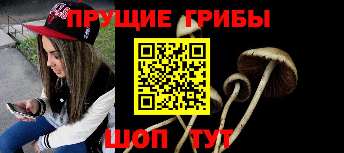 Мытищи  Псилоцибиновые грибы мухоморы  Вход с VPN 